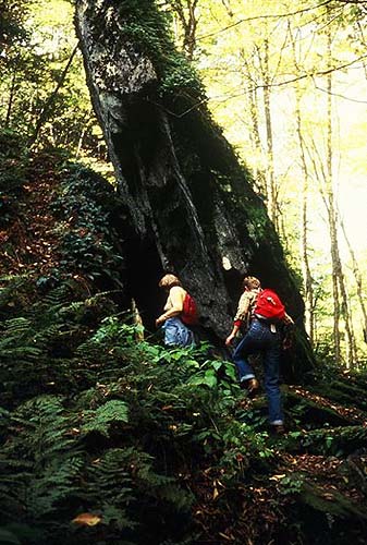 Hikers